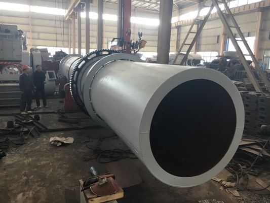 Adjustable Speed Rotary Dryers Stainless Steel Customized Drying Vacuum Paddle Dryer